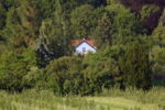 Haus versteckt im dichten Wäldchen auf einer Wiese